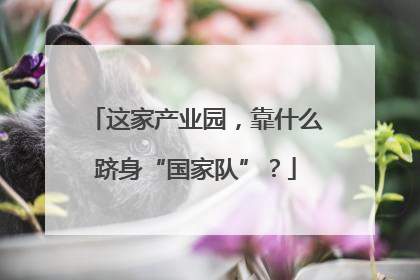 这家产业园，靠什么跻身“国家队”？