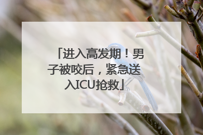 进入高发期！男子被咬后，紧急送入ICU抢救