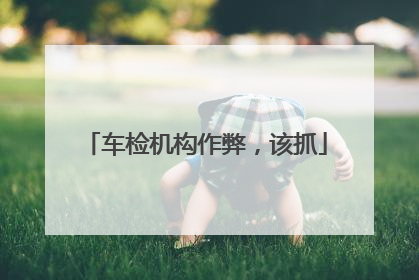 车检机构作弊，该抓