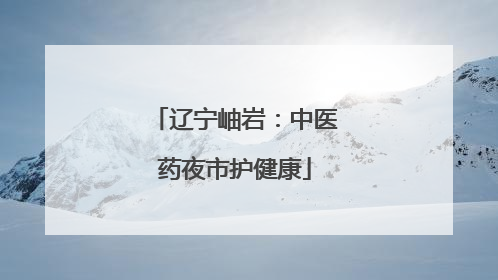 辽宁岫岩：中医药夜市护健康