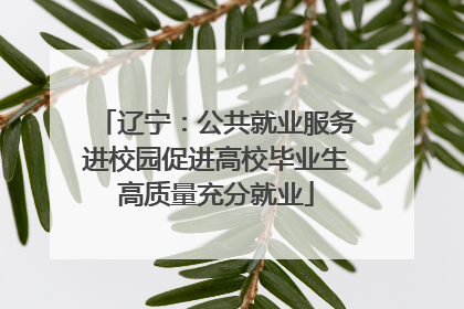 辽宁：公共就业服务进校园促进高校毕业生高质量充分就业