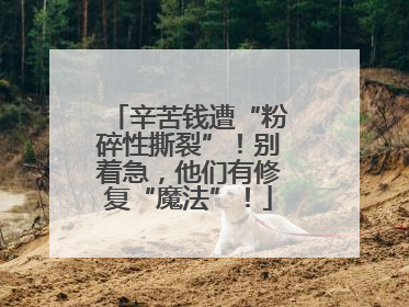 辛苦钱遭“粉碎性撕裂”！别着急，他们有修复“魔法”！