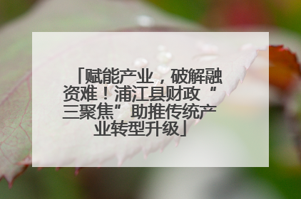 赋能产业，破解融资难！浦江县财政“三聚焦”助推传统产业转型升级