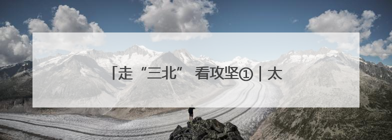 走“三北” 看攻坚①｜太行披“绿装” 连翘药茶香