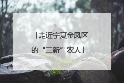 走近宁夏金凤区的“三新”农人