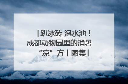趴冰砖 泡水池！成都动物园里的消暑“凉”方丨图集