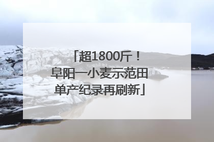 超1800斤！阜阳一小麦示范田单产纪录再刷新