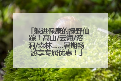 躲进保康的绿野仙踪！高山/云海/溶洞/森林……暑期畅游享专属优惠！