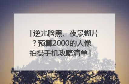 逆光脸黑、夜景糊片？预算2000的人像拍摄手机攻略清单