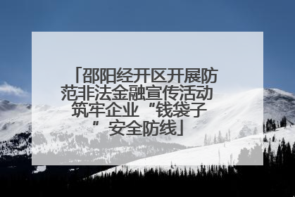 邵阳经开区开展防范非法金融宣传活动 筑牢企业“钱袋子”安全防线