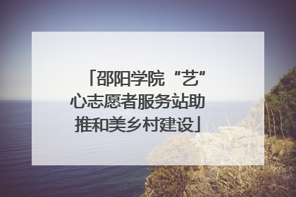 邵阳学院“艺”心志愿者服务站助推和美乡村建设