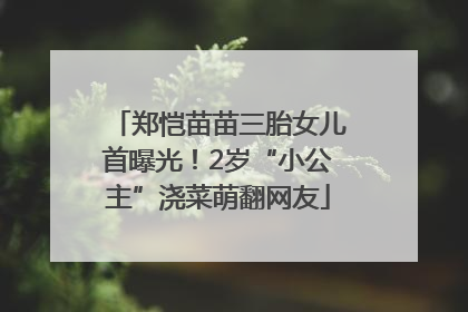 郑恺苗苗三胎女儿首曝光！2岁“小公主”浇菜萌翻网友