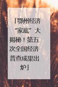 鄂州经济“家底”大揭秘！第五次全国经济普查成果出炉