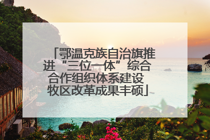 鄂温克族自治旗推进“三位一体”综合合作组织体系建设 牧区改革成果丰硕
