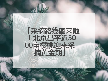 采摘路线图来啦！北京昌平近5000亩樱桃迎来采摘黄金期
