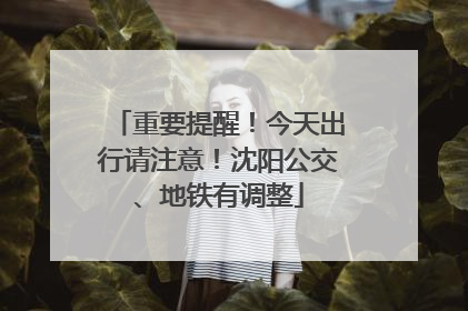 重要提醒！今天出行请注意！沈阳公交、地铁有调整