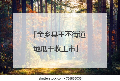 金乡县王丕街道地瓜丰收上市