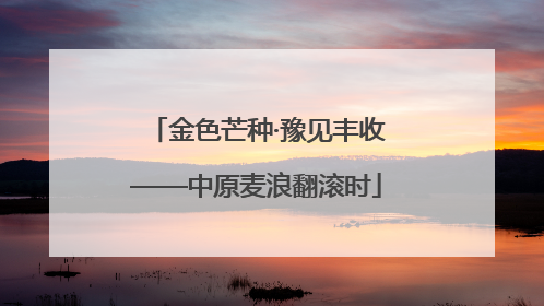 金色芒种·豫见丰收——中原麦浪翻滚时