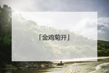 金鸡菊开