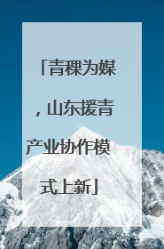 青稞为媒，山东援青产业协作模式上新