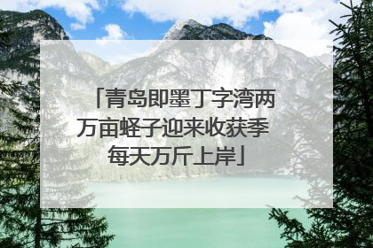 青岛即墨丁字湾两万亩蛏子迎来收获季 每天万斤上岸