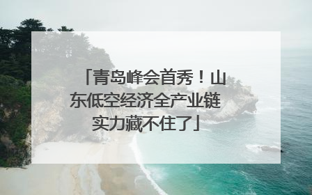 青岛峰会首秀！山东低空经济全产业链实力藏不住了
