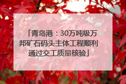 青岛港：30万吨级万邦矿石码头主体工程顺利通过交工质量核验