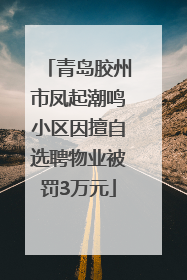 青岛胶州市凤起潮鸣小区因擅自选聘物业被罚3万元