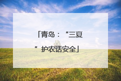 青岛：“三夏”护农话安全