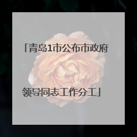 青岛1市公布市政府领导同志工作分工