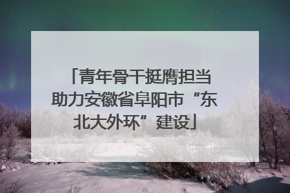 青年骨干挺膺担当 助力安徽省阜阳市“东北大外环”建设