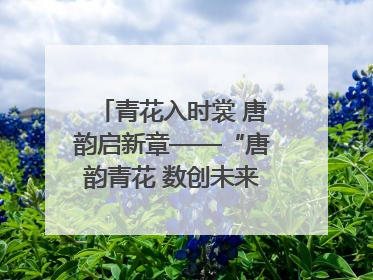 青花入时裳 唐韵启新章——“唐韵青花 数创未来”数字文创设计大赛启幕