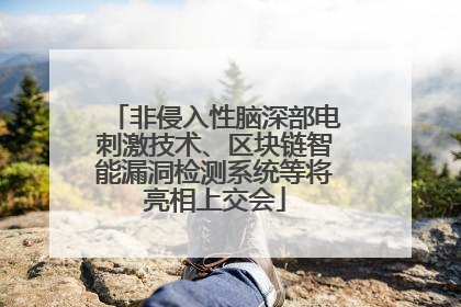 非侵入性脑深部电刺激技术、区块链智能漏洞检测系统等将亮相上交会