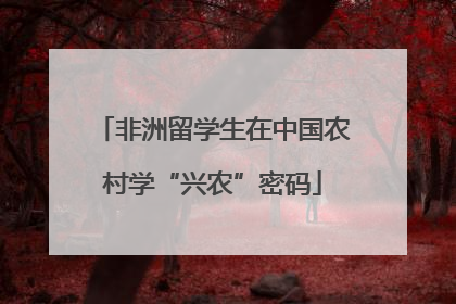 非洲留学生在中国农村学“兴农”密码