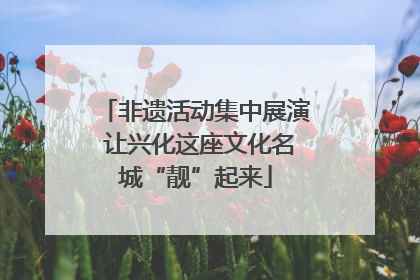 非遗活动集中展演 让兴化这座文化名城“靓”起来