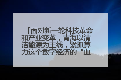 面对新一轮科技革命和产业变革，青海以清洁能源为主线，紧抓算力这个数字经济的“血液”、科技主权的“筹码”、产业升级的“杠杆”、绿色转型的“支点”，勇于撬动国家“双碳”战略、“东数西算”工程重大发展新机遇