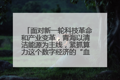 面对新一轮科技革命和产业变革，青海以清洁能源为主线，紧抓算力这个数字经济的“血液”、科技主权的“筹码”、产业升级的“杠杆”、绿色转型的“支点”，勇于撬动国家“双碳”战略、“东数西算”工程重大发展新机遇，点亮绿色算电协同新赛道，蹚出一条符合本地实际的高质量发展之路——青海：“绿色算力” 锚定“东数西算”国家战略布局