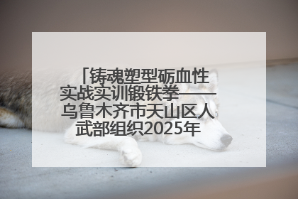 铸魂塑型砺血性 实战实训锻铁拳——乌鲁木齐市天山区人武部组织2025年度民兵集中轮训