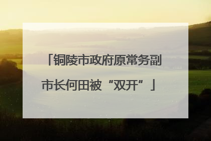 铜陵市政府原常务副市长何田被“双开”
