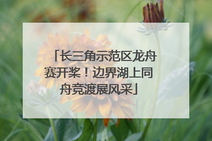 长三角示范区龙舟赛开桨！边界湖上同舟竞渡展风采