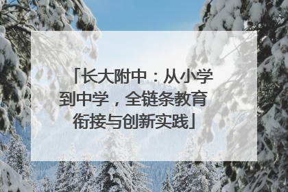 长大附中：从小学到中学，全链条教育衔接与创新实践