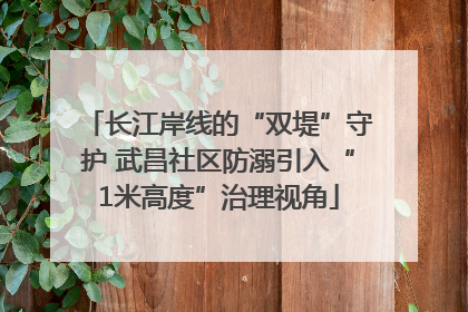 长江岸线的“双堤”守护 武昌社区防溺引入“1米高度”治理视角