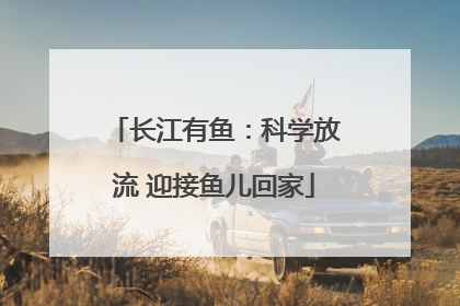 长江有鱼：科学放流 迎接鱼儿回家