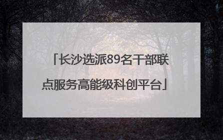 长沙选派89名干部联点服务高能级科创平台