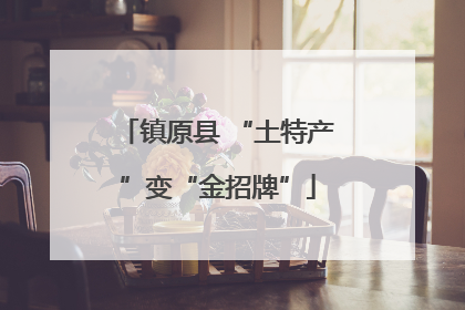 镇原县 “土特产”变“金招牌”