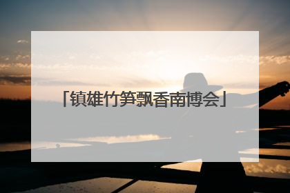 镇雄竹笋飘香南博会