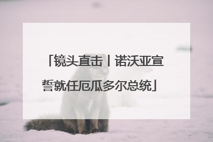 镜头直击丨诺沃亚宣誓就任厄瓜多尔总统