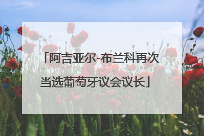 阿吉亚尔-布兰科再次当选葡萄牙议会议长