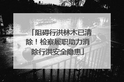 阻碍行洪林木已清除！检察履职助力消除行洪安全隐患