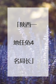 陕西一地任免4名局长